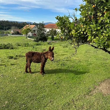 Διαμέρισμα Quintinha Do Martins Reboreda